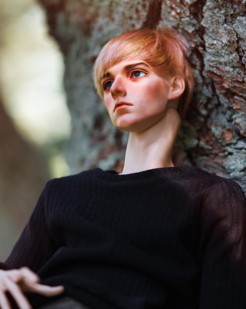A male doll with short blonde hair wearing a black sweater sitting in a tree